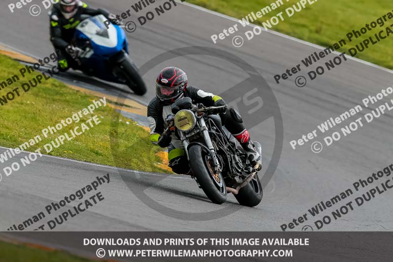 PJ Motorsport 2019;anglesey no limits trackday;anglesey photographs;anglesey trackday photographs;enduro digital images;event digital images;eventdigitalimages;no limits trackdays;peter wileman photography;racing digital images;trac mon;trackday digital images;trackday photos;ty croes